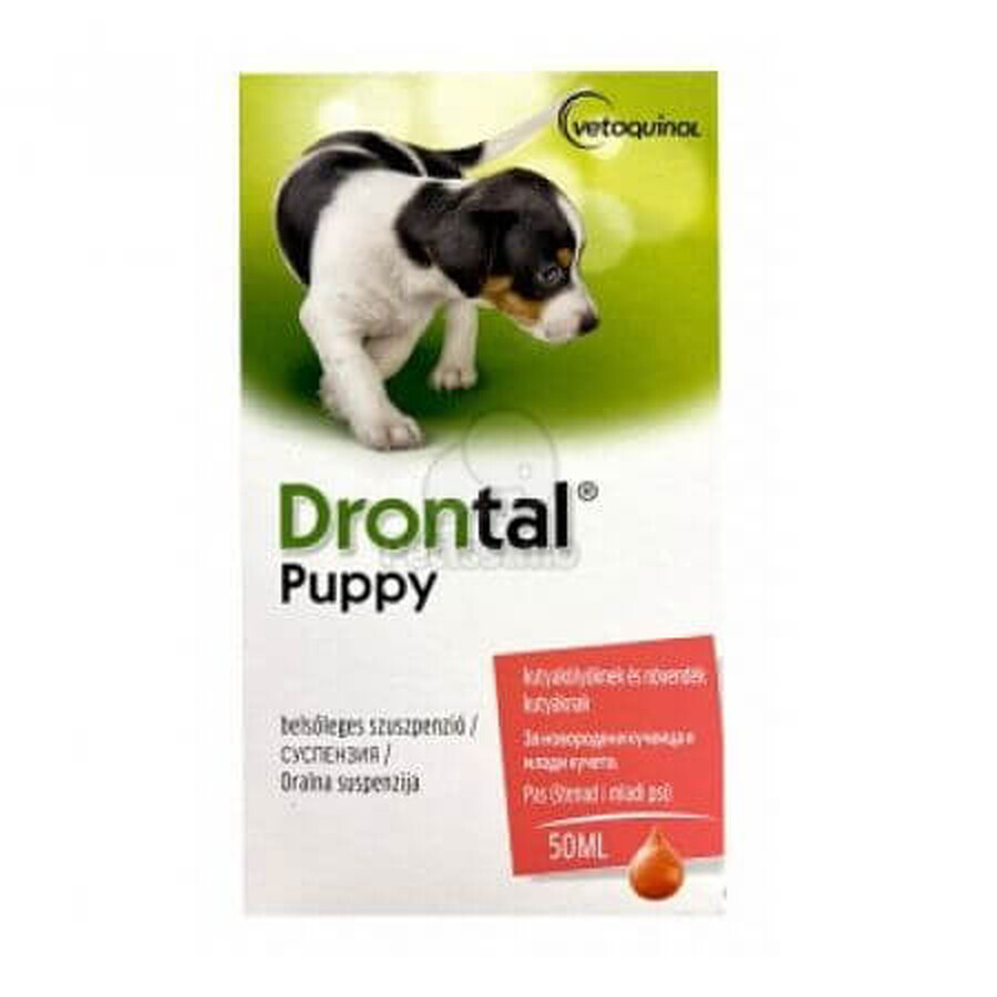 Drontal Puppy Antiparasitaire interne pour chiens, 50 ml, Bayer Vet