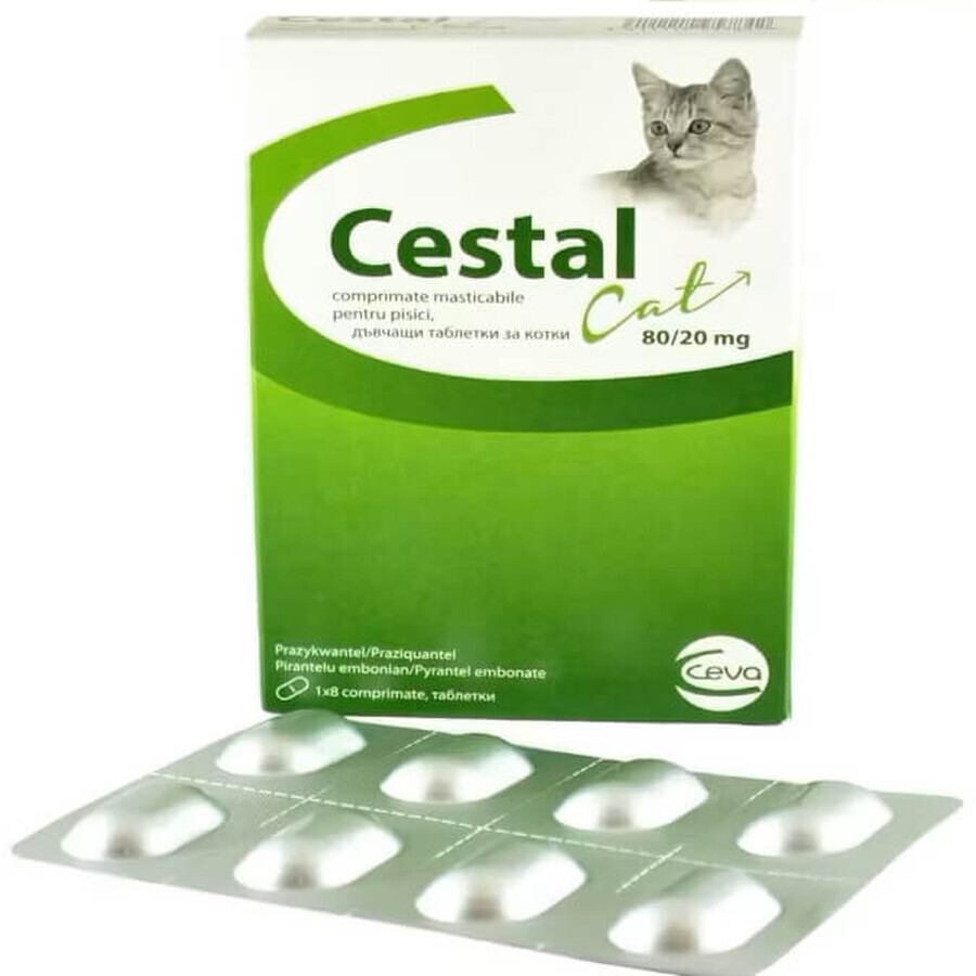 Antiparasitaire interne pour chats Chestal Cat Chew, 8 comprimés à croquer, Ceva Sante