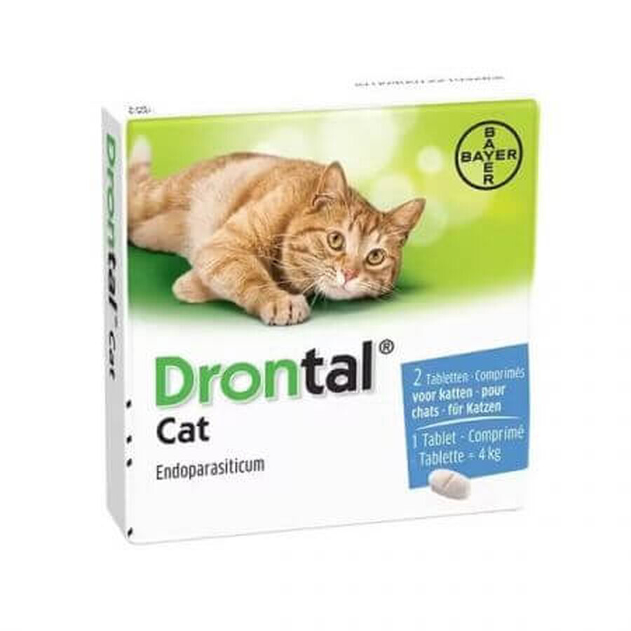 Drontal Cat Antiparasitaire interne pour chats, 2 comprimés, Bayer Vet