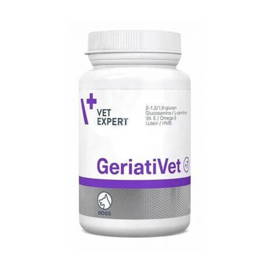 GeriatiVet Hund Kleine Rasse 350 mg, 45 Tabletten, VetExpert