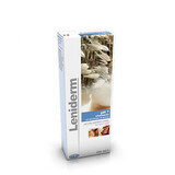 Shampoo for dogs and cats Leniderm, 250 ml, ICF