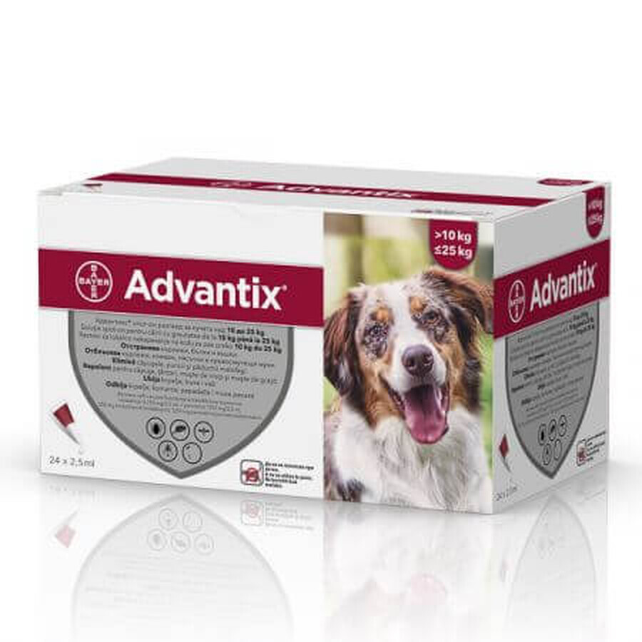 Spot-on Advantix 250 Solution vermifuge pour chiens, 24 pipettes, Bayer Vet OTC