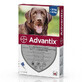 Spot-On Advantix 400 Solution vermifuge pour chiens Spot-On Advantix 400, 1 pipette, Bayer Vet OTC