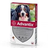 Spot-On Advantix 600 Solution vermifuge pour chiens Spot-On Advantix 600, 1 pipette, Bayer Vet OTC