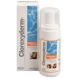 Schiuma antisettica per cani e gatti, 100 ml, Clorexyderm 4%