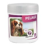 Supplément vitaminique pour la protection de la peau et la santé du pelage chez les chiens Pet Phos Canin Special Pelage, 50 comprimés, Ceva Sante