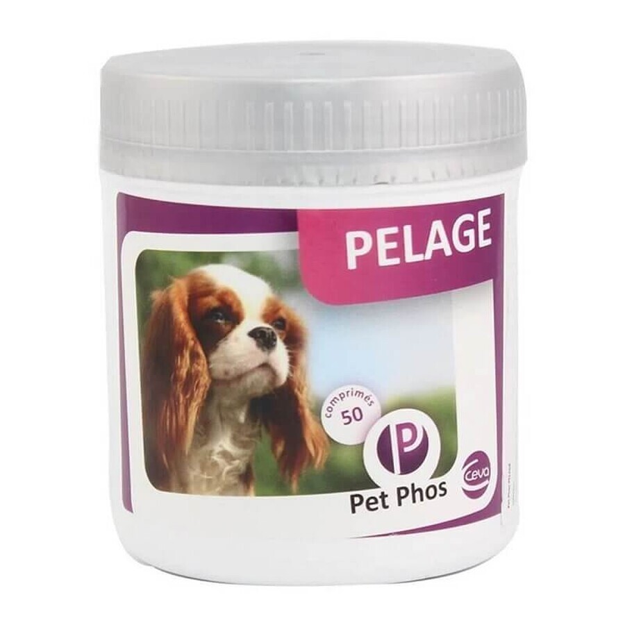 Supplément vitaminique pour la protection de la peau et la santé du pelage chez les chiens Pet Phos Canin Special Pelage, 50 comprimés, Ceva Sante