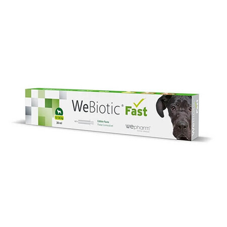 Digestive supplement for dogs in the form of palatable paste Webiotic Fast, 30 ml, Wepharm