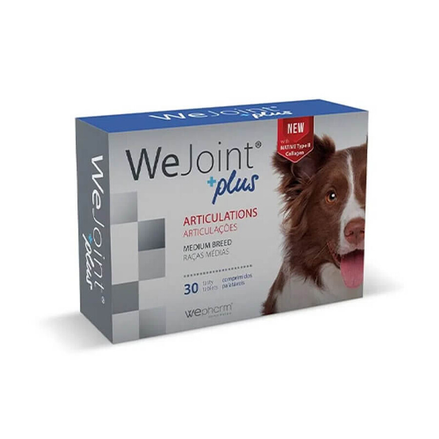 Supplement against joint inflammation for medium-sized dogs WeJoint Plus Medium Breed, 30 tablets, WePharm