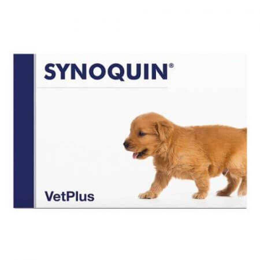 Supplément nutritionnel pour les chiens en croissance de plus de 3 mois Synoquin Growth, 60 comprimés, VetPlus