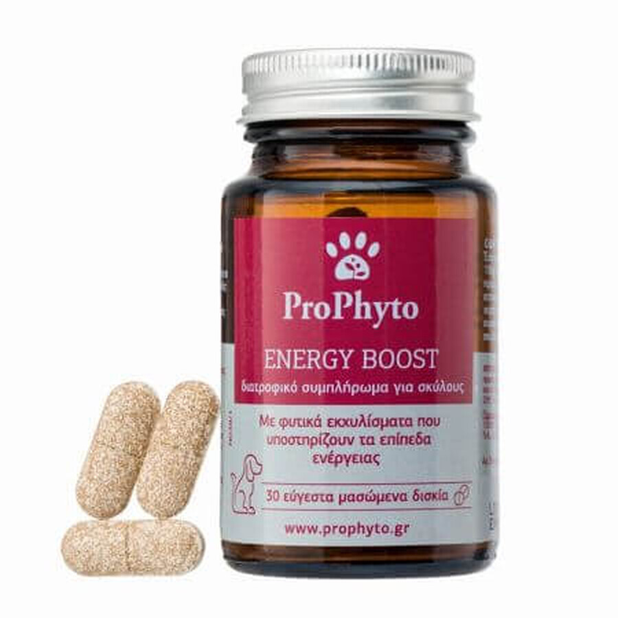 Nahrungsergänzungsmittel Prophyto Energy Boost, 30 Tabletten, Provet