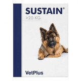 Supplement for supporting the digestive system in large dogs >20 kg Sustain Large Breed, 30 sachets, VetPlus