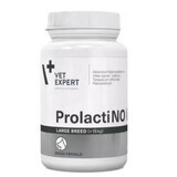 Supplements for dogs ProlactiNO Large Breed40 tablets, VetExpert