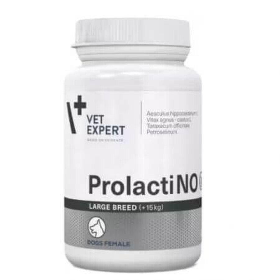 Nahrungsergänzungsmittel für Hunde ProlactiNO Large Breed40 Tabletten, VetExpert