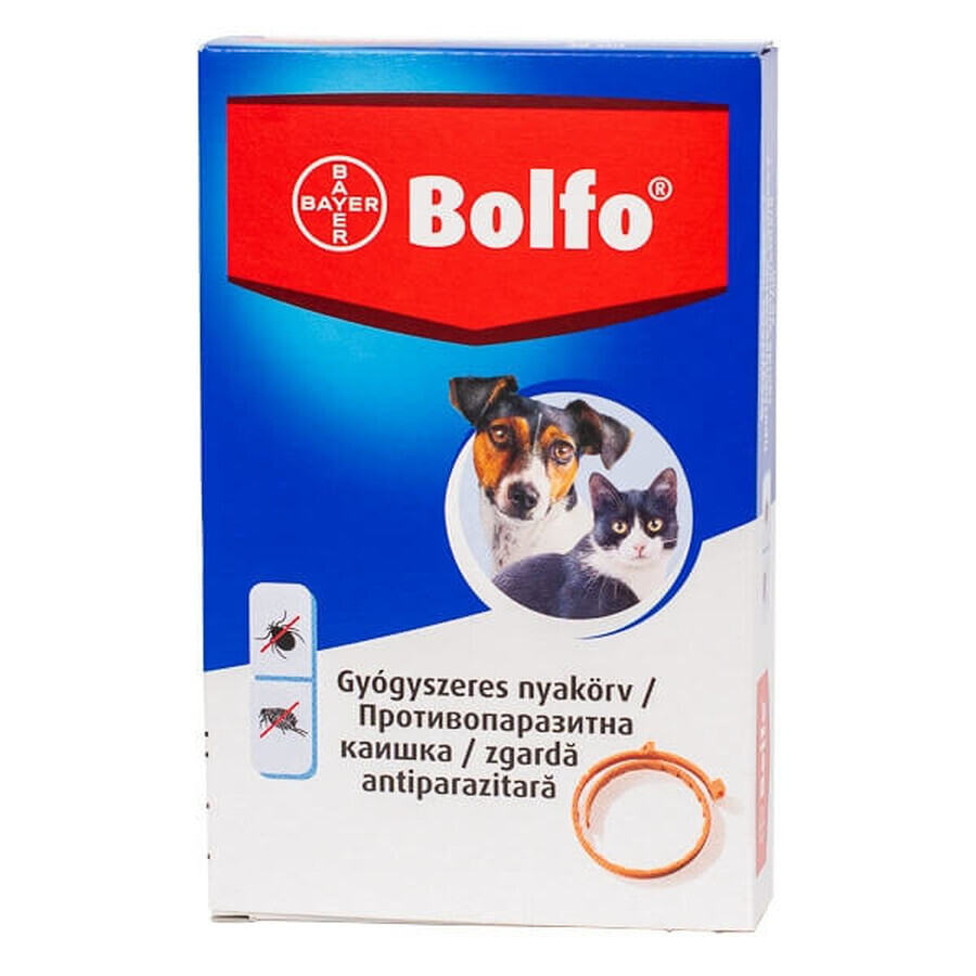 Antiparasitic collar 38 cm for dogs and cats Bolfo, 1 piece, Bayer Vet