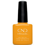 CND Rise and Shine Shellac Vernis à ongles semi-permanent Among the Marigolds 7.3ml