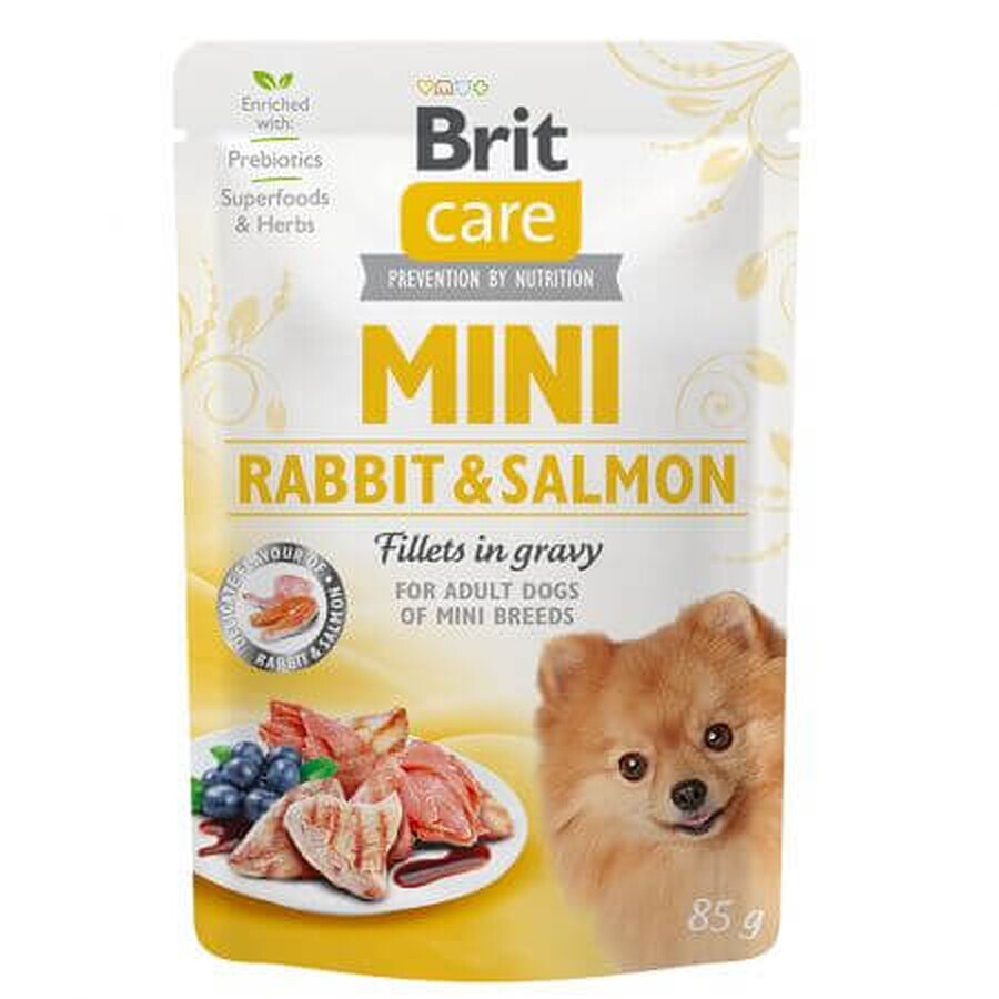 Wet food with salmon and rabbit for dogs Fillets in Gravy Mini, 85 g, Brit