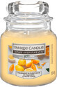 Bougie parfum&#233;e Citrus Spice de Yankee Candle, 104 g