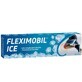 Fleximobil Eis-Gel, 45g, Blick voraus