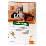 Solution antiparasitaire pour application cutanée chez les chats et les lapins de moins de 4 kg Advantage 40 Cat/Rabbit, 4 pipettes, Bayer Vet OTC