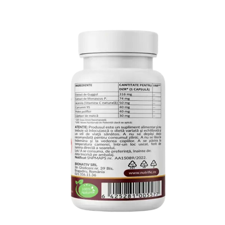 Cholesterol formula Pro, 30 gélules végétales, Nutrific