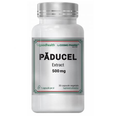 Extrait de Paducel, 500 mg, 30 gélules, Cosmo Pharm