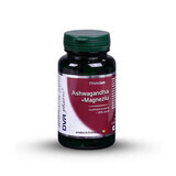 Ashwagandha + Magnésium, 60 gélules, DVR Pharm