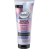 Balea Professional Winter Protect Shampooing, 250 ml
