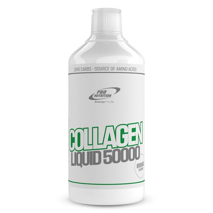 Collagen Liquid 50.000 Hydrolyzed Collagen Amino Acid Formula, 1000 ml, Pro Nutrition Bewertungen