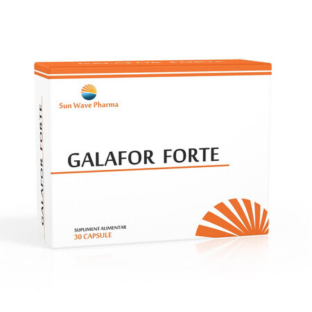 Galafor Forte, 30 gélules, Sun Wave Pharma