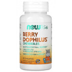 Berry Dophilus 2 miliarde CFU x 60 cpr mast,Now Foods 