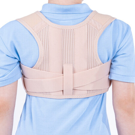 Semi-rigid chest brace SRT143 Ale-Balle, 65-75 cm, 1 piece, Triamed