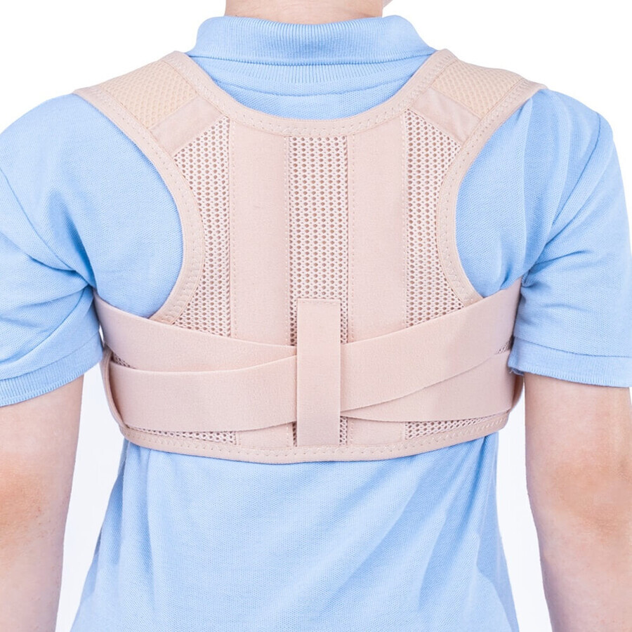 Semi-rigid chest brace SRT143 Ale-Balle, 65-75 cm, 1 piece, Triamed