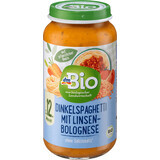 DmBio Menu spaghetti bolognaise aux lentilles, à partir de 12 mois, 250 g