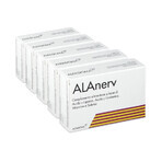 Alanerv Pack, complément alimentaire pour le système nerveux, 100 (5x20) softgels, Alfasigma