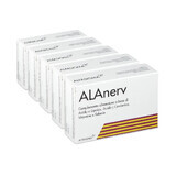 Alanerv Pack, complément alimentaire pour le système nerveux, 100 (5x20) softgels, Alfasigma