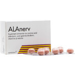 Alanerv Pack, complément alimentaire pour le système nerveux, 100 (5x20) softgels, Alfasigma