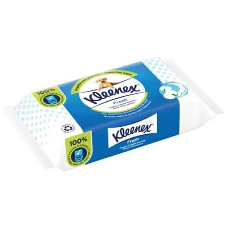 Frisches feuchtes Toilettenpapier, 42 Stück, Kleenex