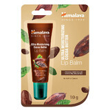 Balsamo labbra ultra idratante con burro di cacao, 10 g, Himalaya