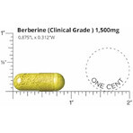 Doctors' Prefered  Berberine Clinical Grade, Berberin 500 mg, 90 cps, GNC