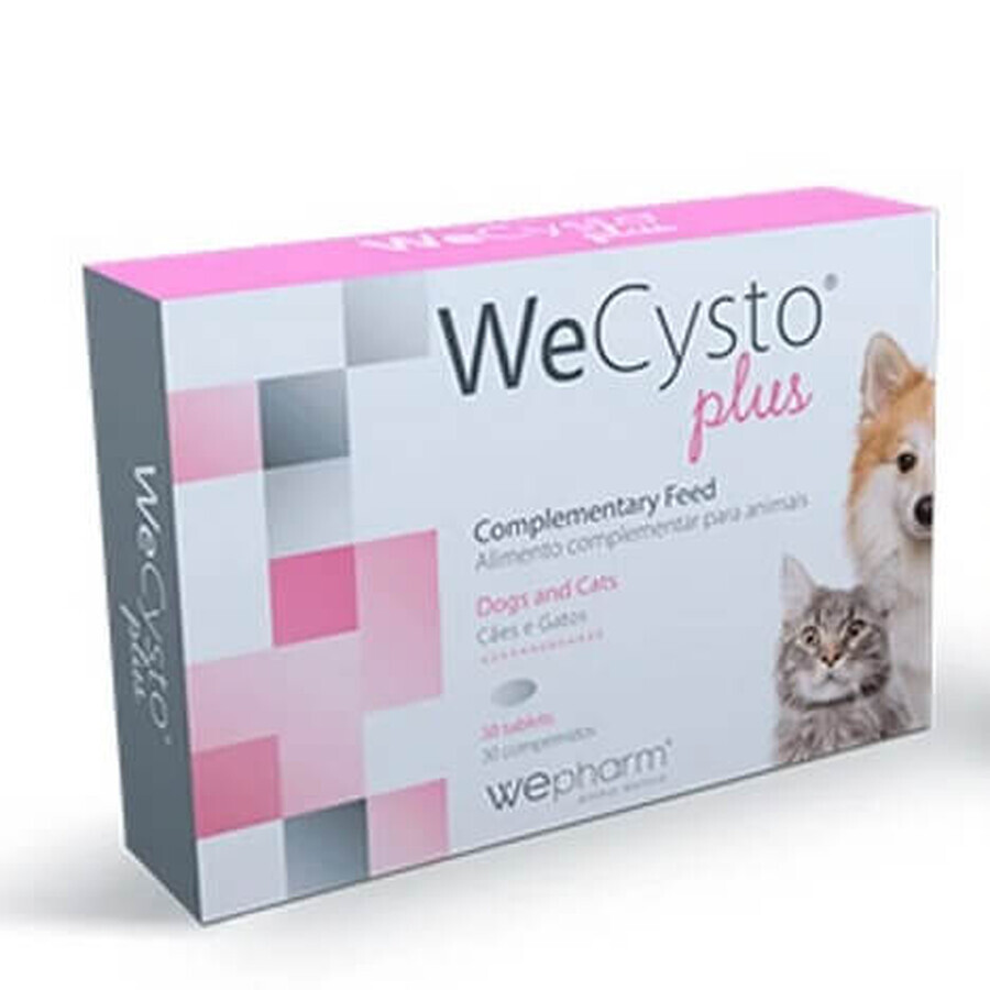 Supplément nutritionnel pour soutenir la fonction urinaire chez les chats WeCysto Plus, 30 gélules, WePharm