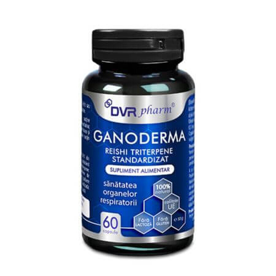 Ganoderma Reishi Triterpense Standardizzato, 60 capsule, DVR Pharm