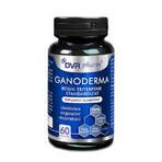 Ganoderma Reishi Triterpense Standardized, 60 gélules, DVR Pharm