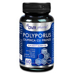 Hongo Polyporus con Hojas, 60 cápsulas, DVR Pharm