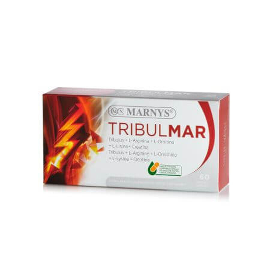 Tribulmar pour le développement de la masse musculaire et de l'énergie, 60 gélules, Marnys