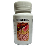 Digebil, 60 capsules, Solchem Nature