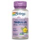 Extrait de fruit de Tribulus, 450 mg, 60 g&#233;lules v&#233;g&#233;tales, Secom