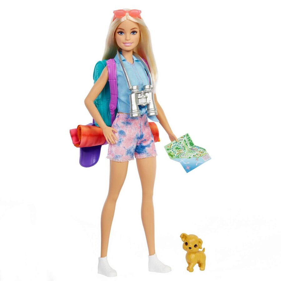 Poupée Barbie Malibu avec accessoires, Barbie