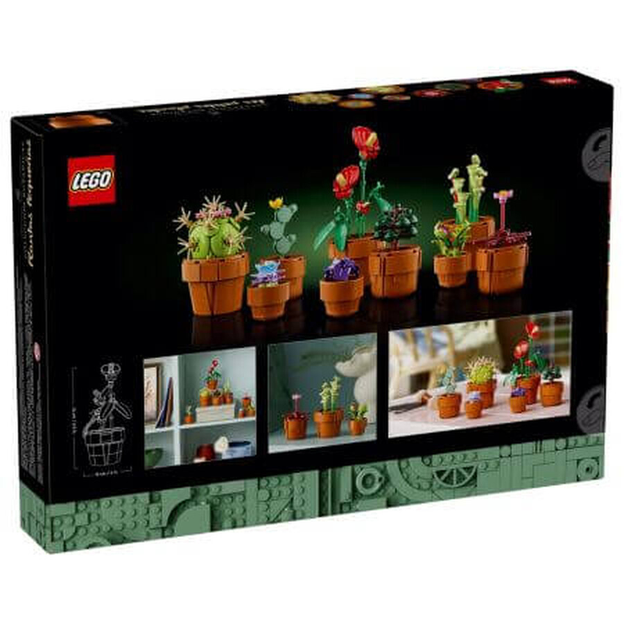 Petites plantes, 18 ans et plus, 10329, Lego Icons