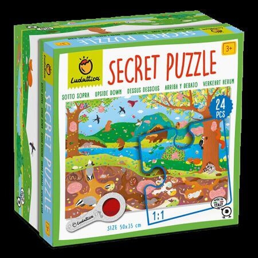 Puzzle ambiente segreto, parco giochi